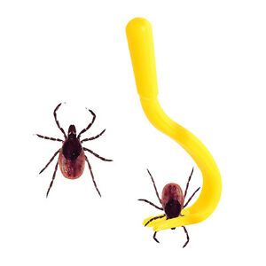 Tick Removal Tool